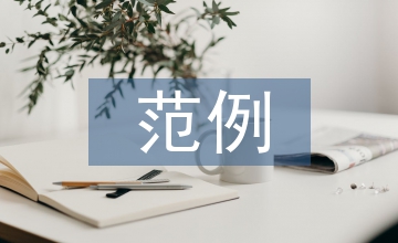 財務分析范例