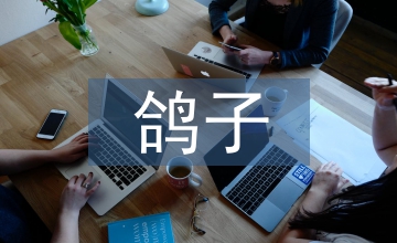 鴿子的養殖技術探索