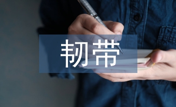肌腱和韌帶的生物力學