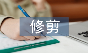 卷毛比熊犬的造型設計與修剪方法