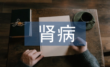 痛風性腎病中醫辨治淺析