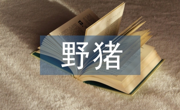 野豬養殖技術措施及疫病防治