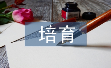 核心價值觀培育