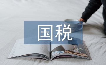 國稅審計(jì)報(bào)告