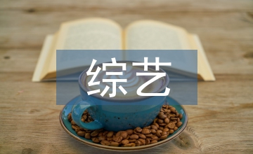 綜藝晚會編導的藝術創作