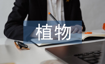 植物造型設(shè)計