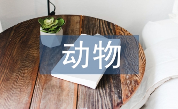 動物醫學學科評估