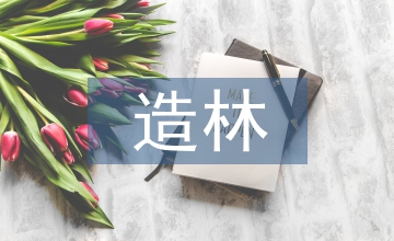 干旱地區(qū)育苗造林技術(shù)探討
