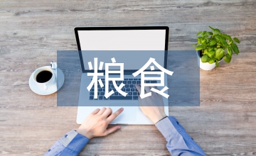 糧食分析報告