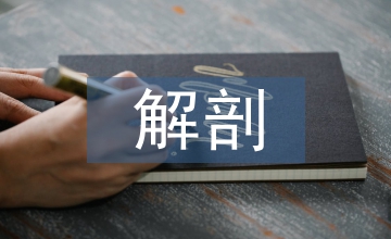 解剖論文