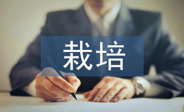 冬瓜的栽培與種植技術
