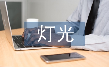 里昂燈光秀藝術表現形式淺議