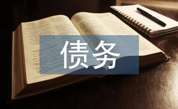 債務(wù)風(fēng)險(xiǎn)評(píng)估