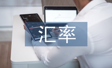 匯率決定理論經濟學論文