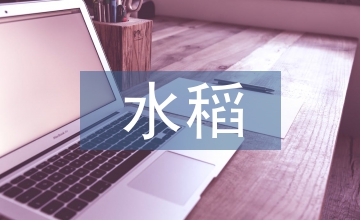 水稻常見病害防治技巧研究