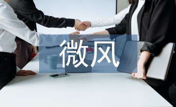 微風(fēng)吹亂的愛(ài)情