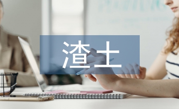 渣土執法中隊工作計劃