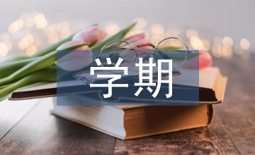 學期校本研修總結