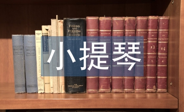 小提琴演奏中個人素養提升探究