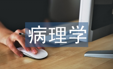 病理學總結歸納