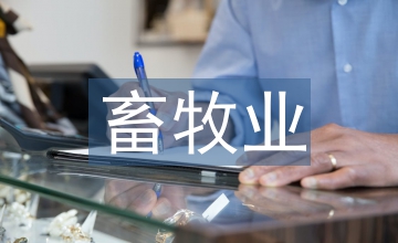 畜牧業(yè)行業(yè)調(diào)研報告