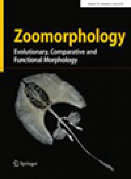 Zoomorphology