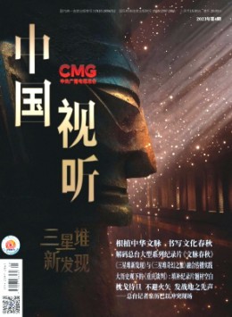 中國視聽